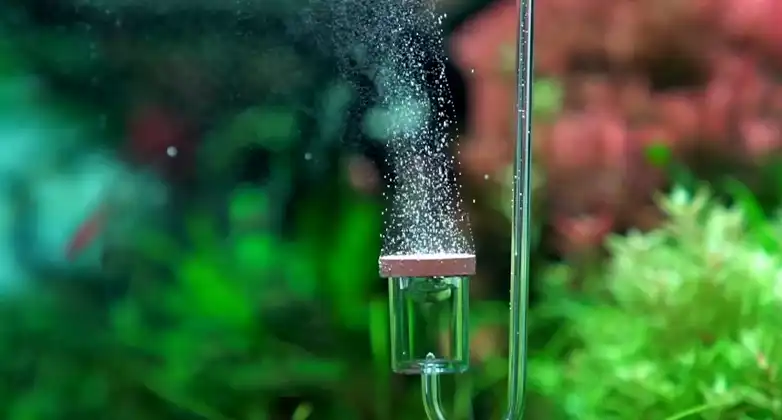 Aquarium diffuser 2024